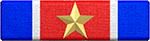 Special Service Ribbon Gold